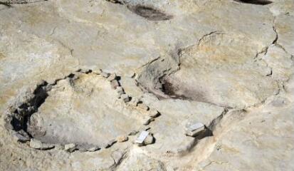 1 vue (ouvre la visionneuse)