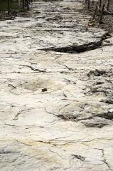 1 vue (ouvre la visionneuse)