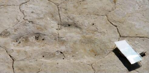 1 vue (ouvre la visionneuse)