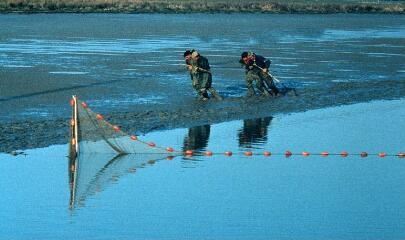 1 vue (ouvre la visionneuse)