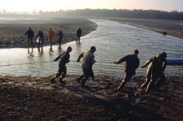 1 vue (ouvre la visionneuse)