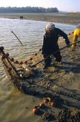 1 vue (ouvre la visionneuse)