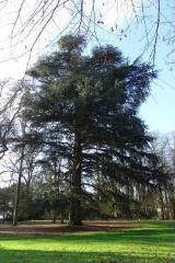 1 vue (ouvre la visionneuse)