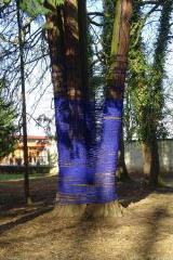 1 vue (ouvre la visionneuse)