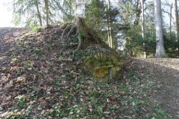 1 vue (ouvre la visionneuse)