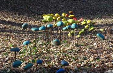 1 vue (ouvre la visionneuse)