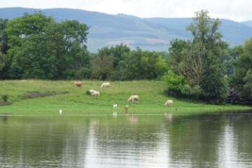 1 vue (ouvre la visionneuse)