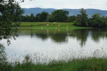 1 vue (ouvre la visionneuse)