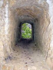 1 vue (ouvre la visionneuse)