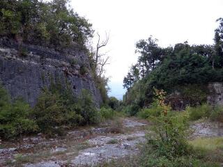 1 vue (ouvre la visionneuse)