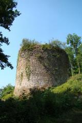 ouvrir dans la visionneuse : Tour du château de Saint-germain