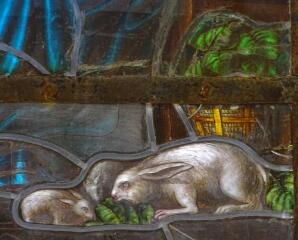 1 vue (ouvre la visionneuse)