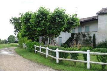 1 vue (ouvre la visionneuse)