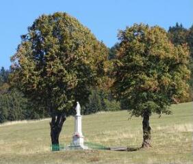 1 vue (ouvre la visionneuse)