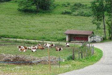 1 vue (ouvre la visionneuse)