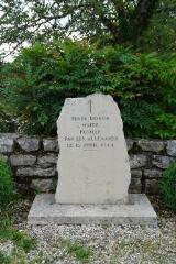 1 vue (ouvre la visionneuse)