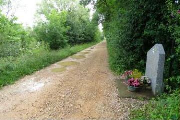 1 vue (ouvre la visionneuse)