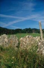 1 vue (ouvre la visionneuse)