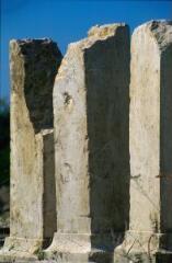 1 vue (ouvre la visionneuse)