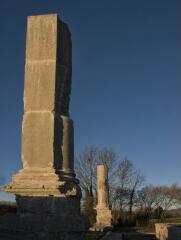 1 vue (ouvre la visionneuse)