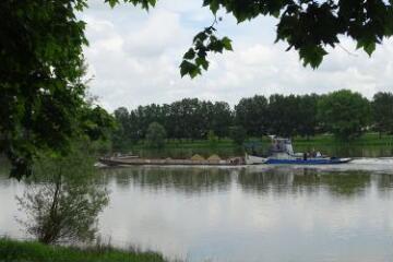 1 vue (ouvre la visionneuse)