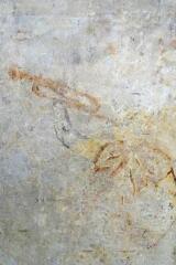 1 vue (ouvre la visionneuse)