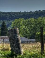 1 vue (ouvre la visionneuse)