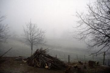 1 vue (ouvre la visionneuse)