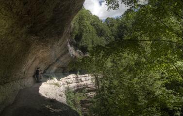 1 vue (ouvre la visionneuse)