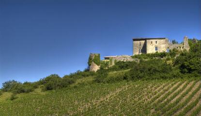 1 vue (ouvre la visionneuse)