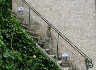 1 vue (ouvre la visionneuse)