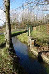 1 vue (ouvre la visionneuse)