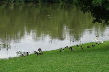 1 vue (ouvre la visionneuse)