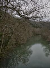 1 vue (ouvre la visionneuse)