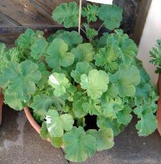 1 vue (ouvre la visionneuse)