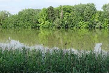 1 vue (ouvre la visionneuse)