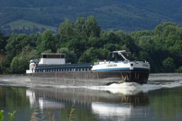 1 vue (ouvre la visionneuse)