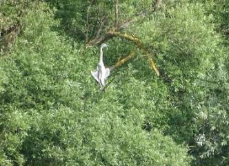 1 vue (ouvre la visionneuse)