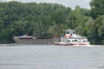 1 vue (ouvre la visionneuse)