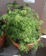 1 vue (ouvre la visionneuse)