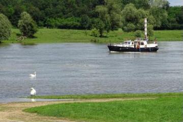 1 vue (ouvre la visionneuse)