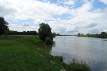 1 vue (ouvre la visionneuse)