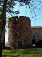 1 vue (ouvre la visionneuse)