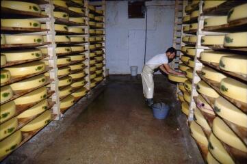 1 vue (ouvre la visionneuse)