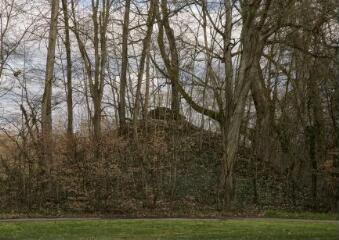 1 vue (ouvre la visionneuse)