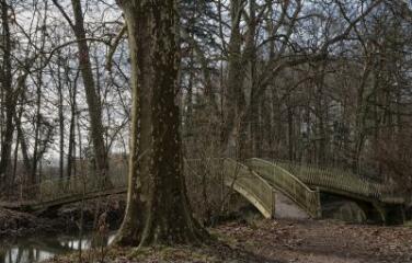 1 vue (ouvre la visionneuse)