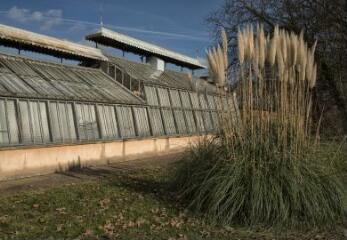 1 vue (ouvre la visionneuse)