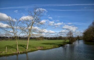 1 vue (ouvre la visionneuse)