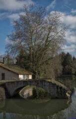 1 vue (ouvre la visionneuse)