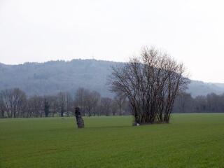 1 vue (ouvre la visionneuse)